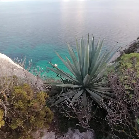 Aura Di Mare Apartment Cagliari